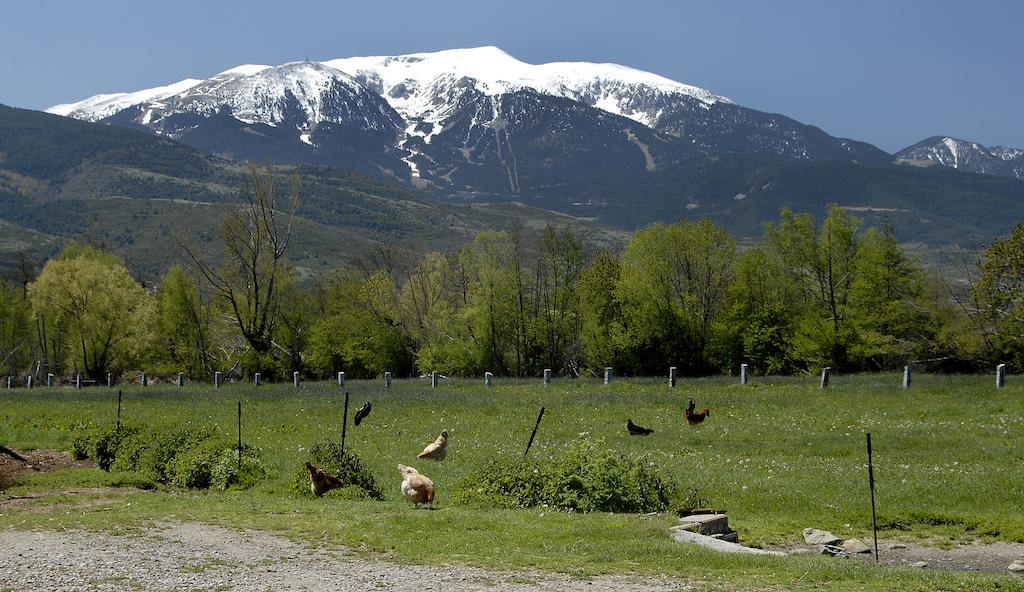 Mas Mallol Puigcerdà Exterior photo